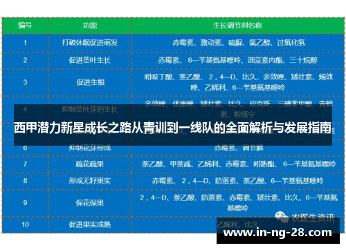 西甲潜力新星成长之路从青训到一线队的全面解析与发展指南 西甲潜力新星成长之路从青训到一线队的全面解析与发展指南