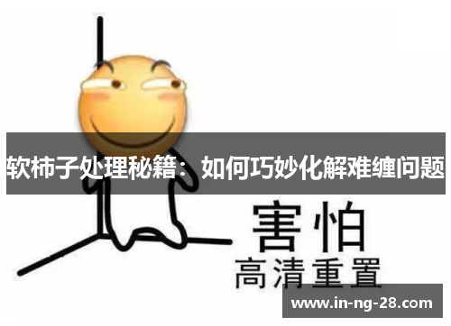 软柿子处理秘籍:如何巧妙化解难缠问题 软柿子处理秘籍:如何巧妙化解难缠问题